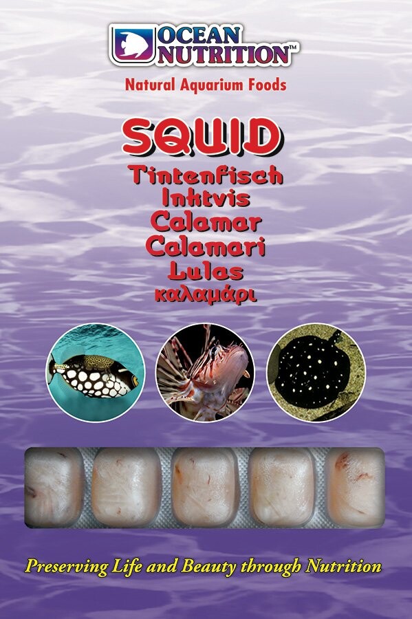 Ocean Nutrition Squid 100 g