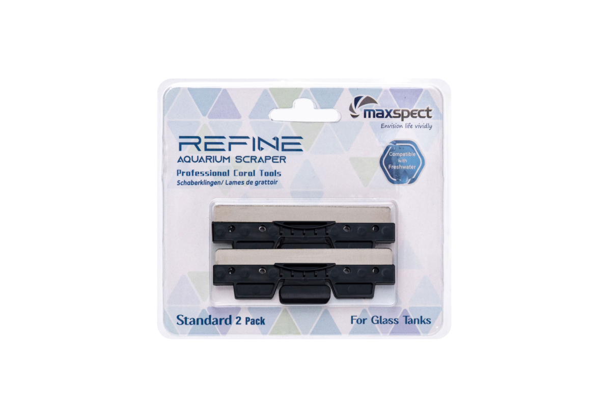Maxspect Refine Standard Ersatzklingen aus Edelstahl