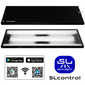 SKYLIGHT PARMASTER LED RS