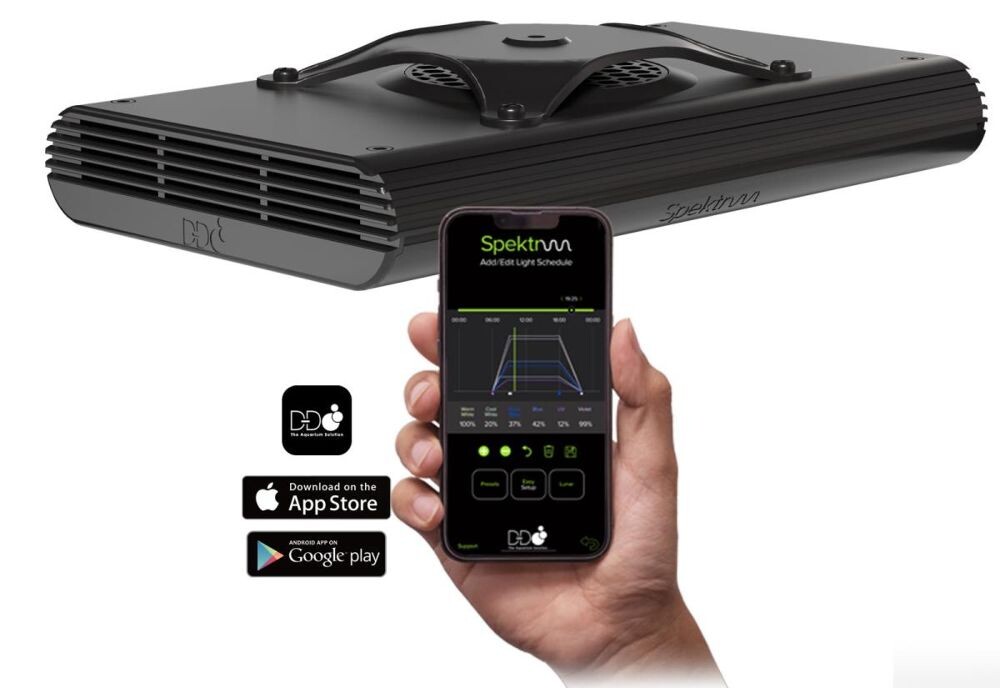 D-D Spektrum 150 LED Leuchte box