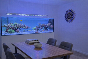 aquaLEDs aquaBAR240 HC+ Reef