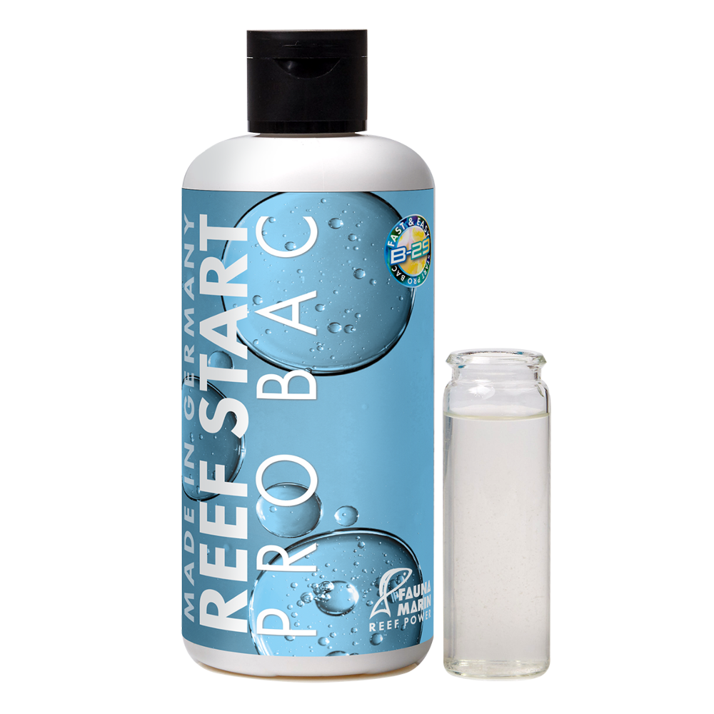 Reef Start Pro Bac - Ideale Starter-Bakt box