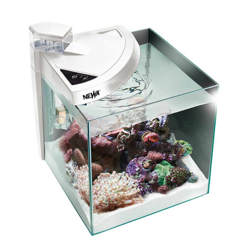 NEWA More 50 Reef weiß