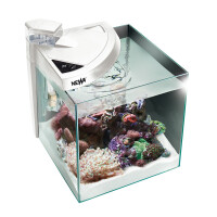 NEWA More 50 Reef weiß