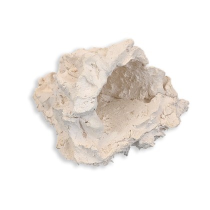 Anemonenhöhle L ca. 17 cm