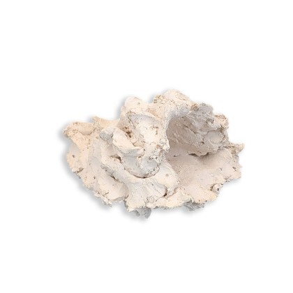 Anemonenhöhle M ca. 11 cm