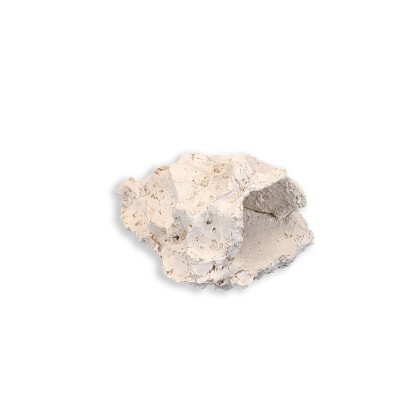 Anemonenhöhle S ca. 8 cm