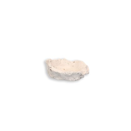 Muschelhalter S ca. 6 cm