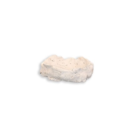 Muschelhalter M ca. 10 cm