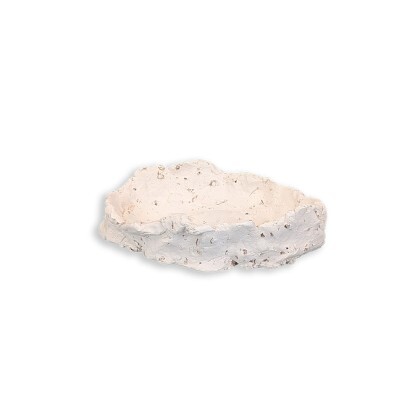 Muschelhalter L ca. 13 cm