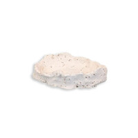 Muschelhalter L ca. 13 cm