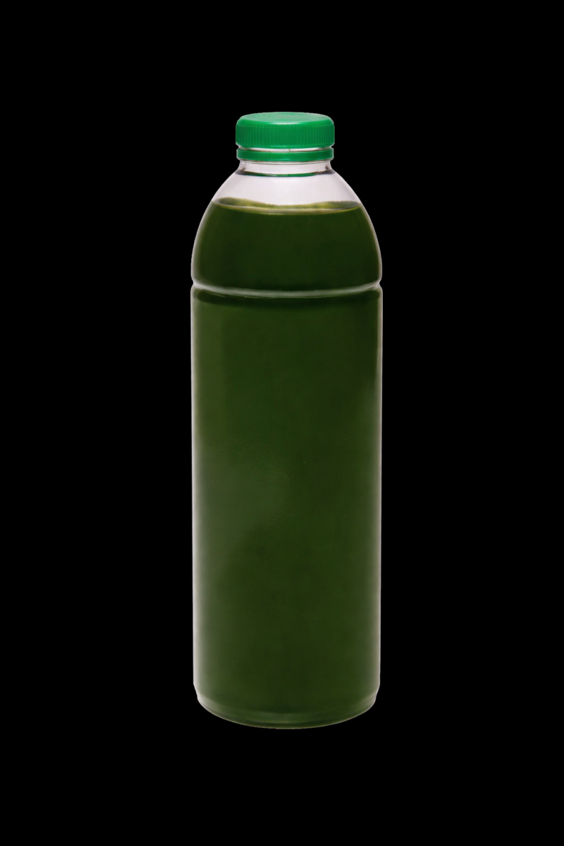 RK Plankton lebend 1L - Nannochloropsis (No3,Po4)
