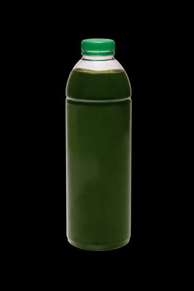 RK Plankton lebend 1L - Nannochloropsis (No3,Po4)