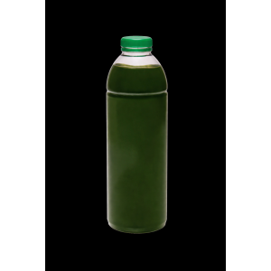 RK Plankton lebend 1L - Nannochloropsis (No3,Po4)