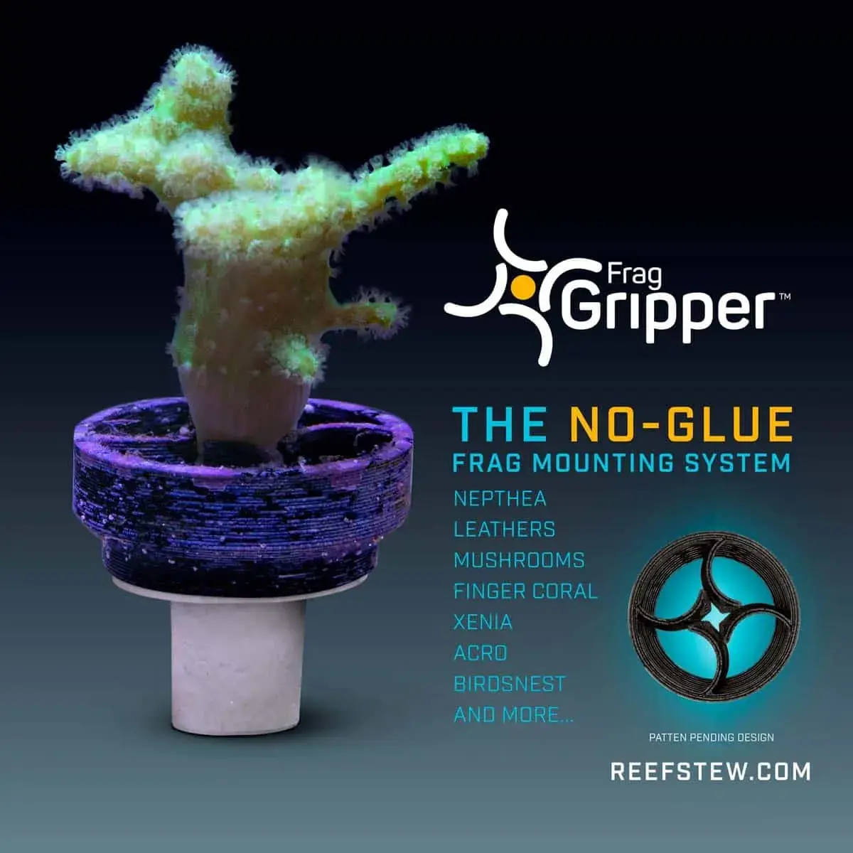 VCA Frag Gripper No-Glue-Frag Mounting S box