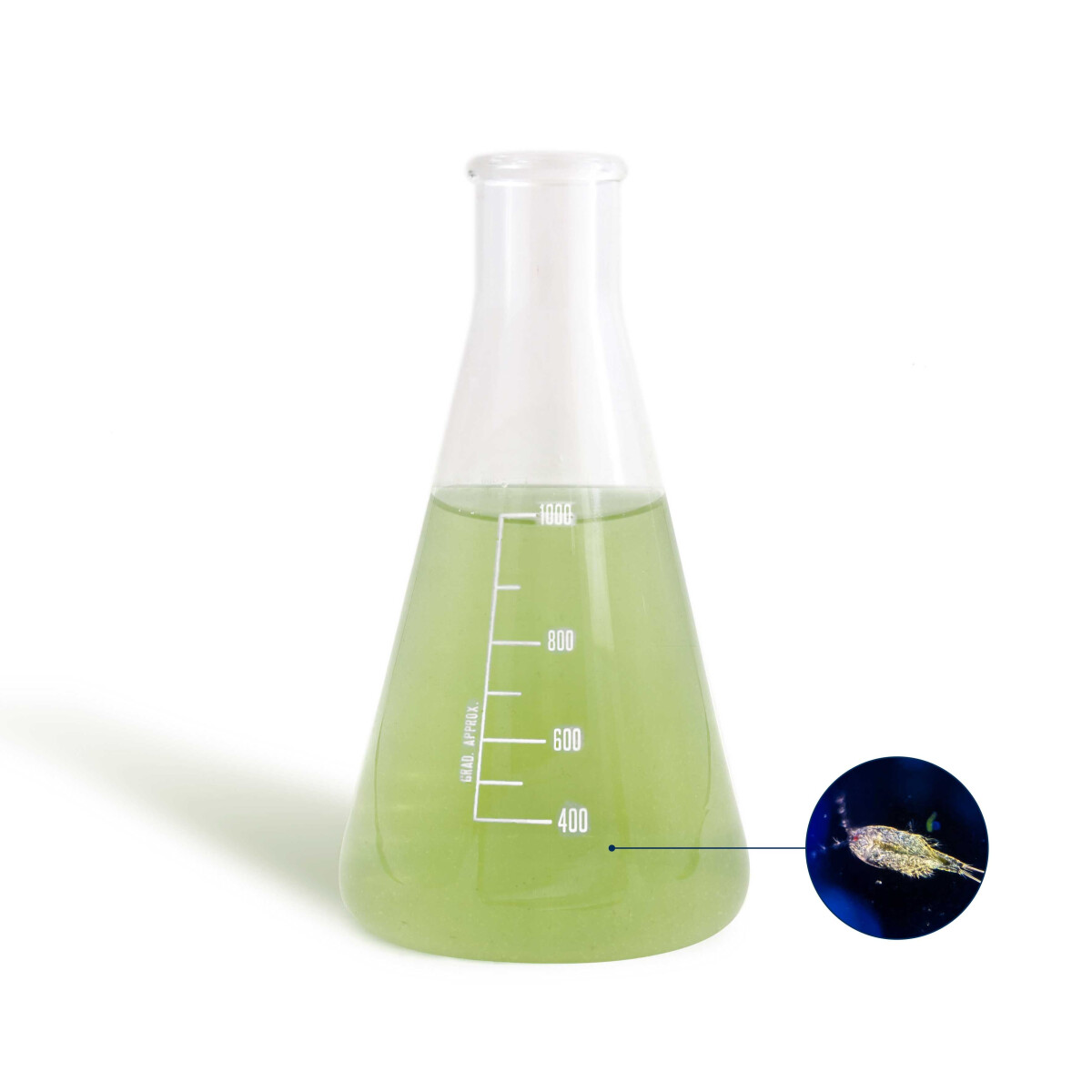 BEA Mesocosmo Tisbe 1000ml