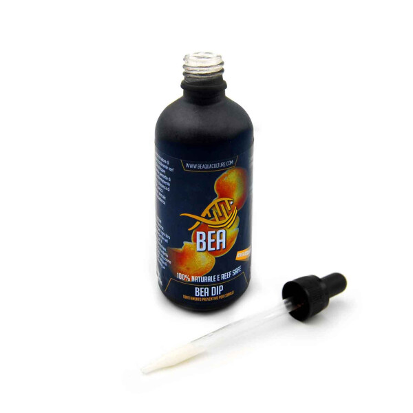 BEA DIP 100ml