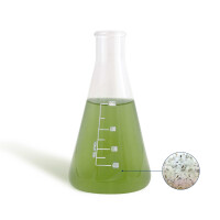 BEA Mesocosmo Micro 1000ml