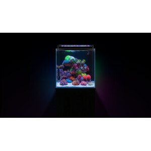 Aquaforest Nano Tank EU