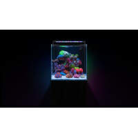 Aquaforest Nano Tank EU