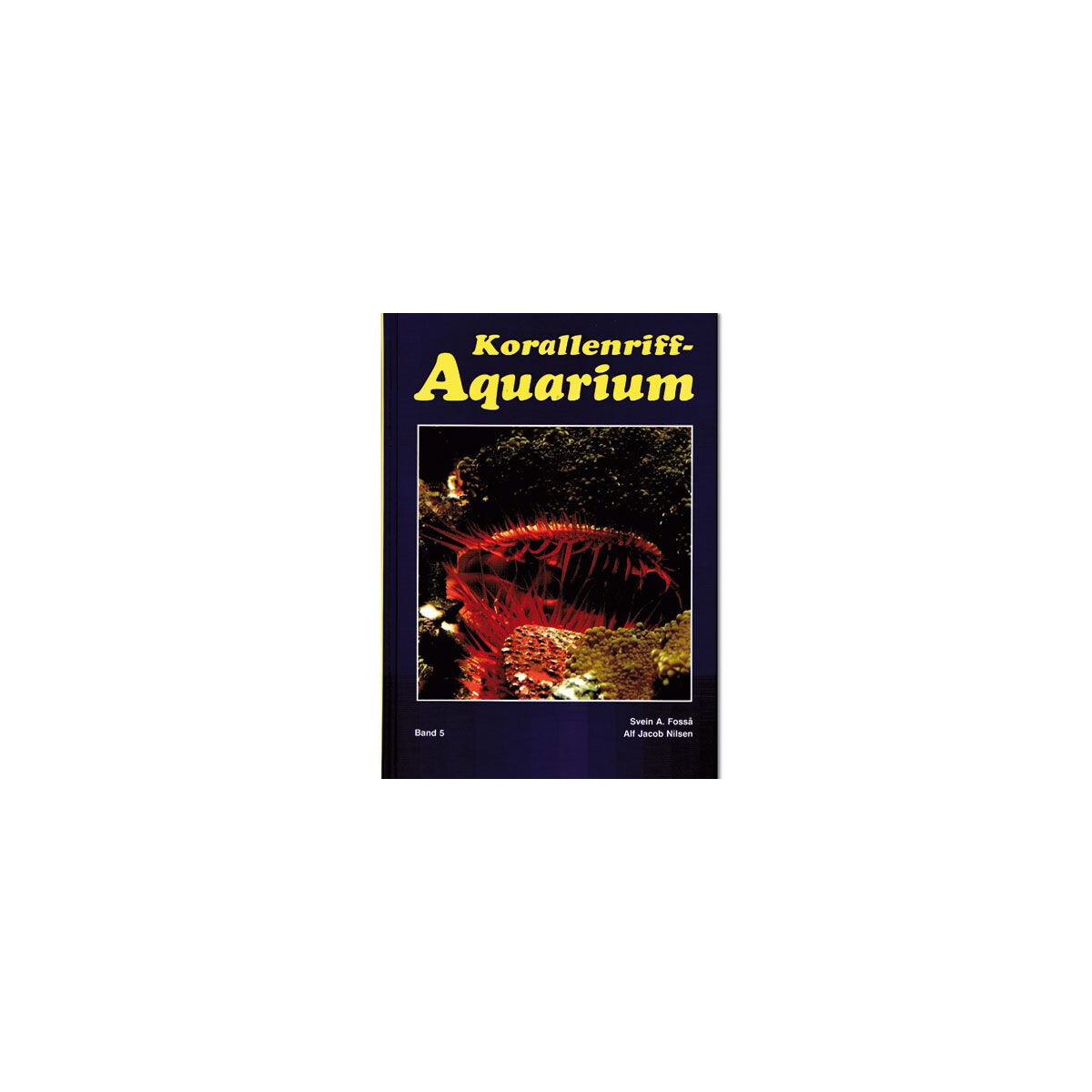 KORALLENRIFF AQUARIUM NR. 5 box