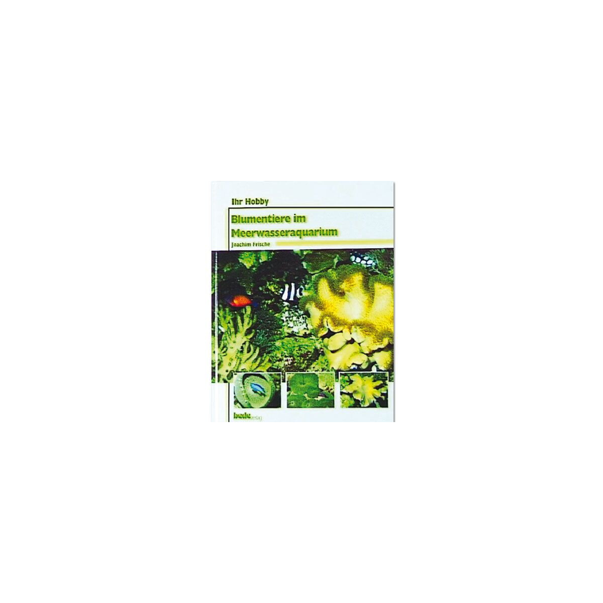 BLUMENTIERE im MEERWASSER