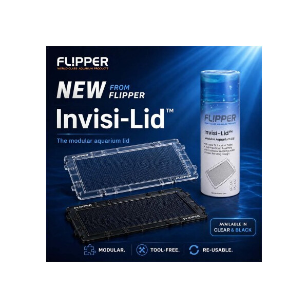 Flipper Invisi-Lid Black Small
