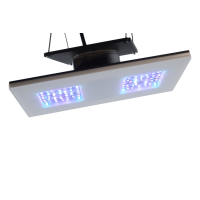 b-spx Gravity21 2x1 Modul 30 Watt 200x100x10mm