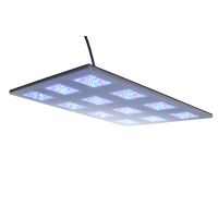 b-spx Gravity43 4x3 Modul 180 Watt 400x300x10mm