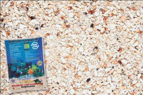 Aragonite Live Reef Substrate 2,0 - 4,0 mm 3,63kg