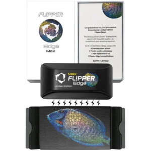 Flipper Edge Max Tang