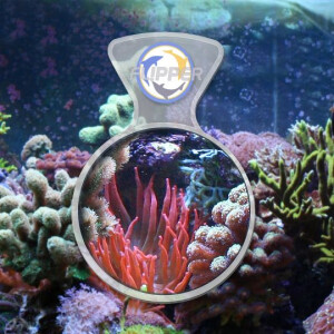 Flipper DeepSee Viewer Standard Clear