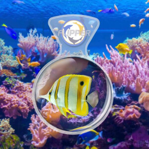 Flipper DeepSee Viewer Standard Clear