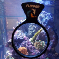 Flipper DeepSee Viewer Max Clear