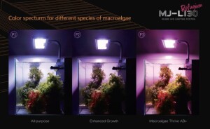 Maxspect Jump 30W LED Leuchte - Refugium