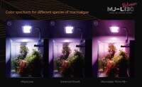 Maxspect Jump 30W LED Leuchte - Refugium