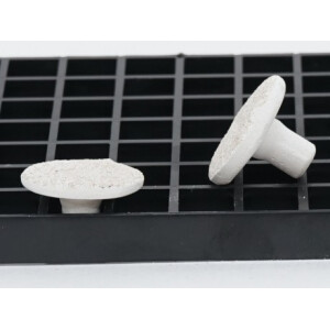Ablegersteine 100 Stück / Rund 3 cm