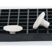 Ablegersteine 100 Stück / Rund 3 cm