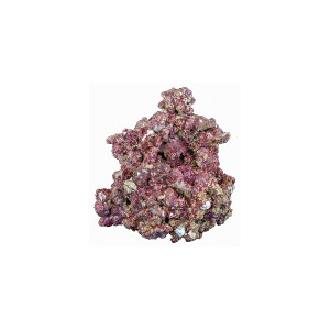 Real Reef Rock Mix 25 kg Box