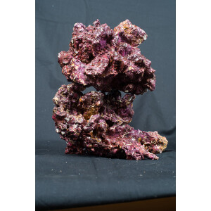 Real Reef Rock Small/Medium 25 kg Box