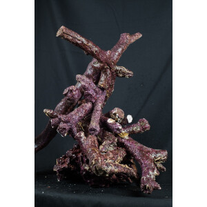 Real Reef Rock Branched 16 kg Box