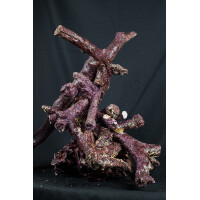 Real Reef Rock Branched 16 kg Box