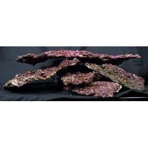 Real Reef Rock Shelf Rock 25 kg Box