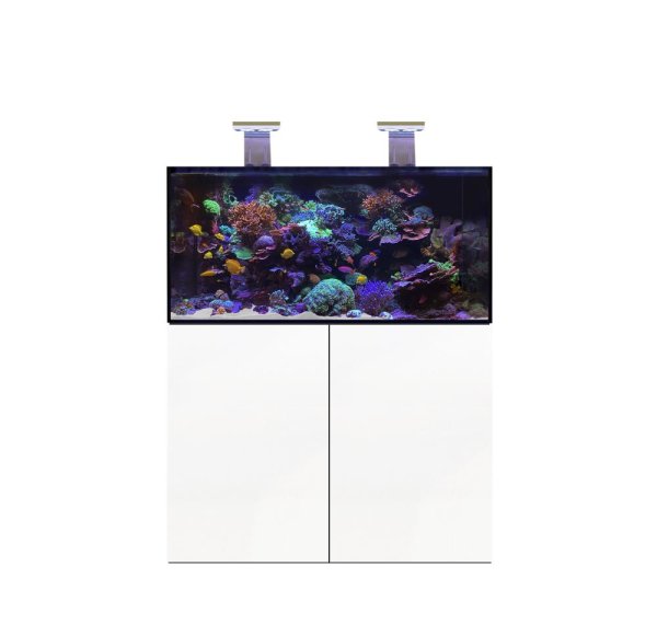 D-D Aqua-Pro Reef 1200- WHITE GLOSS