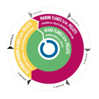 Algae Pellets Meerwasser Ø 1 mm - 1800 g