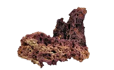 Jurassic Reef-Rock, ca. 12 Kg Riffgestein lila, trocken