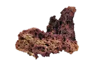Jurassic Reef-Rock, ca. 25 Kg Riffgestein lila, trocken