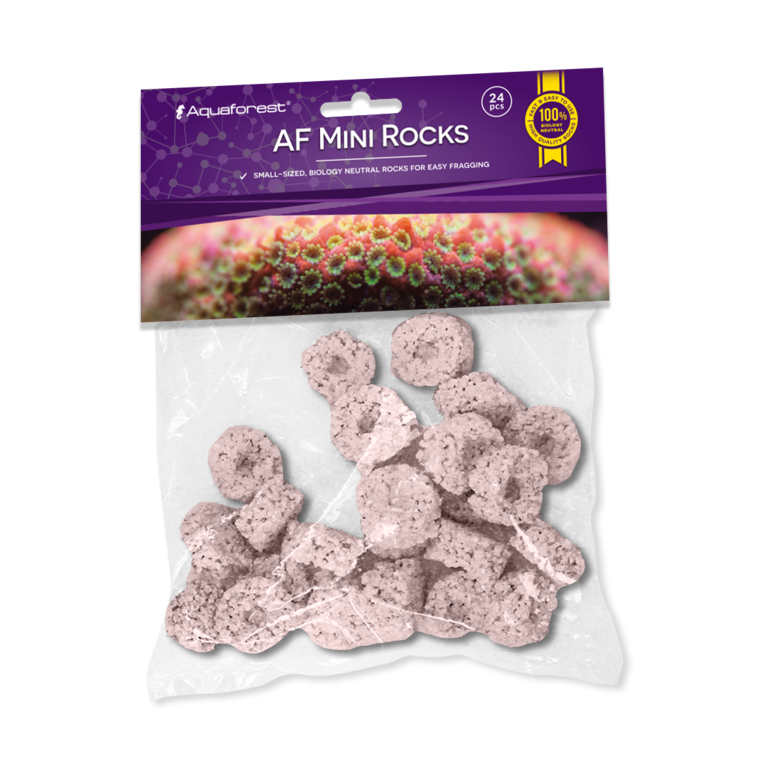 AF Mini Rocks PURPLE 24 Stk. box