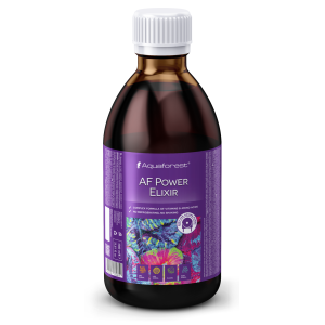 AF Power Elixir 1000ml