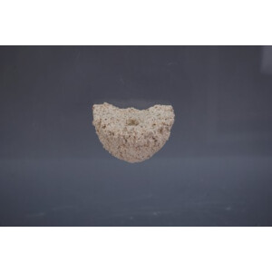 Magnetic-Shelf S